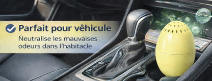 Désodorisant Sans Parfum & Réutilisable