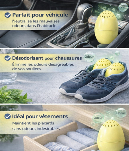 Désodorisant Sans Parfum & Réutilisable